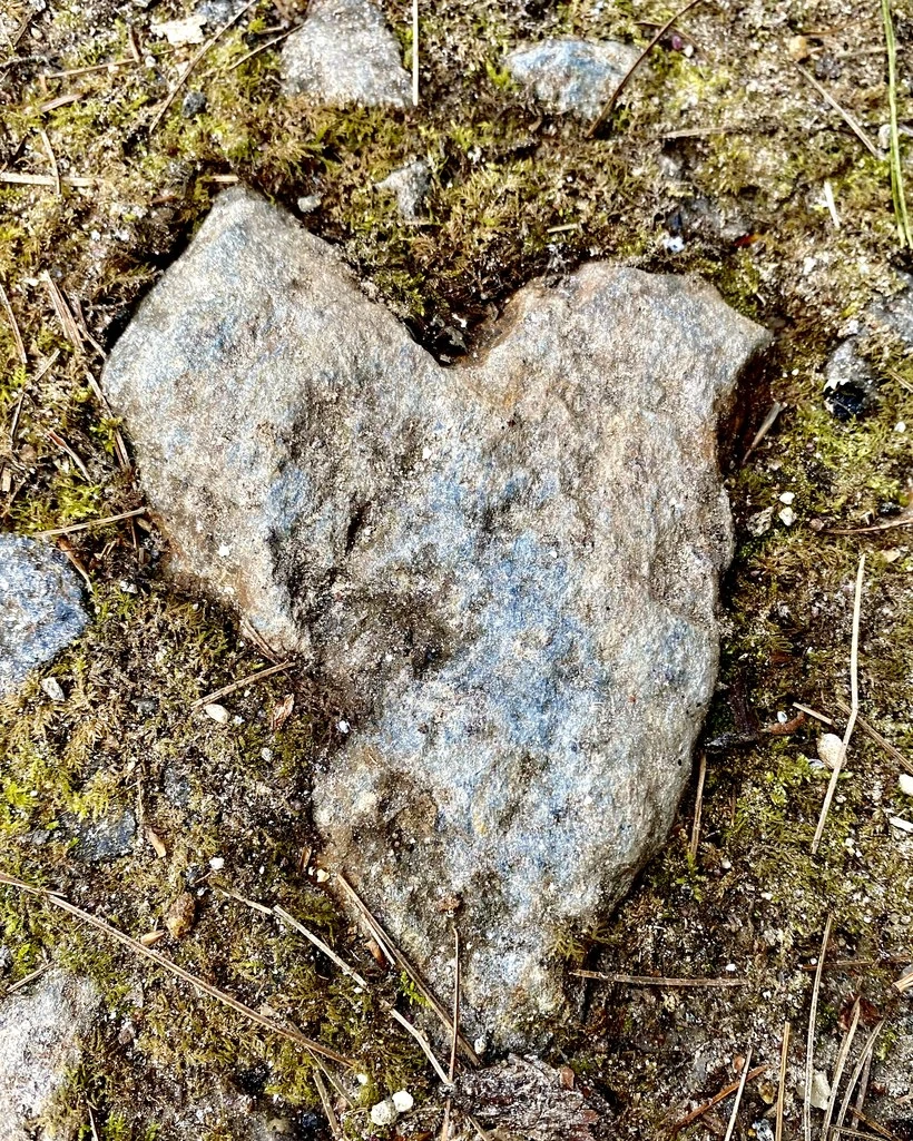 A naturally heart-shaped rock resting on mossy ground
